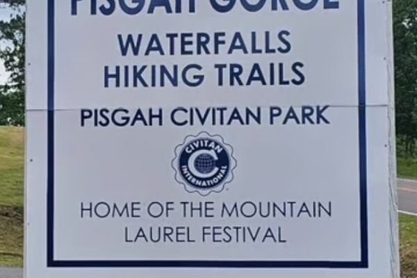 3rd Annual Mountain Laurel Arts & Music Festival This Saturday