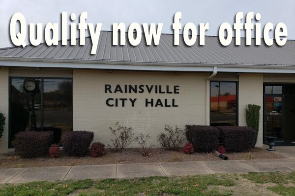 PUBLIC NOTICE: Candidacy Now Open for City Council and Mayoral Races in DeKalb County